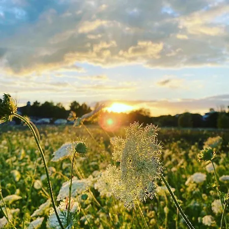Luxus-ferienwohnung Greenfee Fleesensee